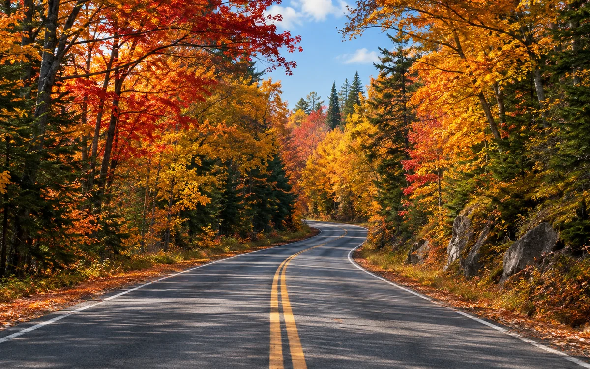 Illustrative road beneath red, orange, and gold autumn trees; not a documentary image of US 41.